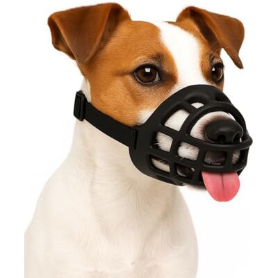 Flamingo Maulkorb Benzo S Weiches Silikon Maulkorb für kleine Hunde, verstellbar, komfortabel für Training, Spaziergang & Tierarzt Flamingo Maulkorb Benzo S Weiches Silikon Maulkorb für kleine Hunde, verstellbar, komfortabel für Training, Spaziergang & Tierarzt