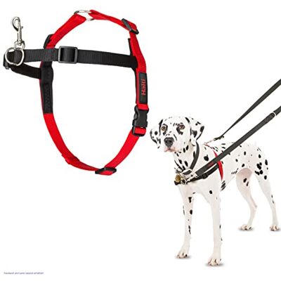 Halti Front Control Gurt Schwarz-Rot M/58-86cm - Gurt Halti Front Control Gurt Schwarz-Rot M/58-86cm - Gurt