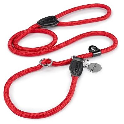 lionto Retrieverleine für Hunde, Robust, Wetterfest, 120 cm, Rot Fellschonende Moxonleine mit integriertem Halsband und Stoppring, Trainingsleine mit Zugstopp für Hunde aller Größen lionto Retrieverleine für Hunde, Robust, Wetterfest, 120 cm, Rot Fellschonende Moxonleine mit integriertem Halsband und Stoppring, Trainingsleine mit Zugstopp für Hunde aller Größen