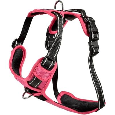 Bobby Rando Walk Hundegeschirr Größe XS, aus reflektierendem Nylon, verstellbare Schnallen mit sicherem Verschluss, einfach zu tragen, Fuchsia Rundhalsausschnitt 20-32 cm, Brustumfang 36-43 cm Bobby Rando Walk Hundegeschirr Größe XS, aus reflektierendem Nylon, verstellbare Schnallen mit sicherem Verschluss, einfach zu tragen, Fuchsia Rundhalsausschnitt 20-32 cm, Brustumfang 36-43 cm