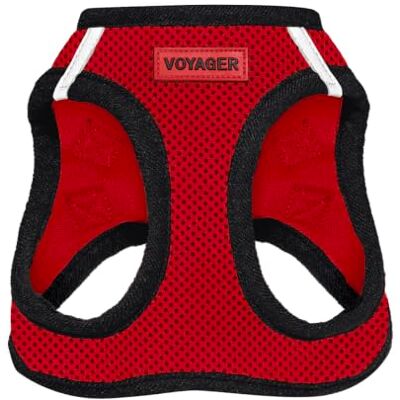 Best Pet Supplies Voyager Step-In Air Hundegeschirr, Allwetter-Netzgewebe, reflektierend, kein Ziehen, für kleine, mittelgroße Hunde, Katzen, sicher mit Klettverschluss, Schnalle, Doppel-D-Ringe, Rot/Schwarzer Rand M Best Pet Supplies Voyager Step-In Air Hundegeschirr, Allwetter-Netzgewebe, reflektierend, kein Ziehen, für kleine, mittelgroße Hunde, Katzen, sicher mit Klettverschluss, Schnalle, Doppel-D-Ringe, Rot/Schwarzer Rand M