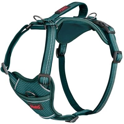 Halti Anatomy Hundegeschirr mit Griff – Bewegungsfreiheit für deinen Hund. 3 Verbindungspunkte für die Leine, Neoprenpolsterung, verstellbar und reflektierend (Größe L, Blaugrün) Halti Anatomy Hundegeschirr mit Griff – Bewegungsfreiheit für deinen Hund. 3 Verbindungspunkte für die Leine, Neoprenpolsterung, verstellbar und reflektierend (Größe L, Blaugrün)