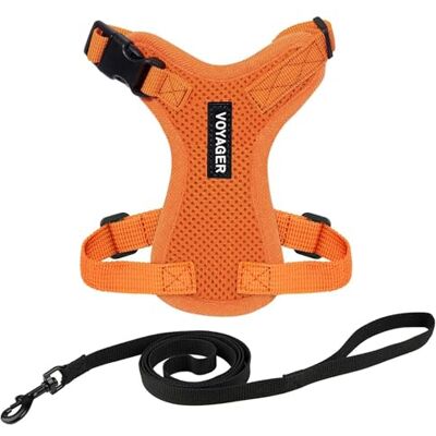Best Pet Supplies Voyager Step-In Lock Verstellbares Katzengeschirr Katzen-Leinen-Kombi-Set mit Neoprengriff, 1,5 m, für kleine, mittelgroße und große Katzen, Orange, Größe XXXS Best Pet Supplies Voyager Step-In Lock Verstellbares Katzengeschirr Katzen-Leinen-Kombi-Set mit Neoprengriff, 1,5 m, für kleine, mittelgroße und große Katzen, Orange, Größe XXXS
