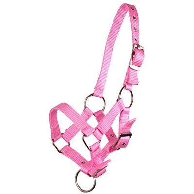 QHP Fohlenhalfter Halfter für Fohlen – Verstellbares Kopfstück für sicheren Halt – Nylon, 4 Größen, 6 Farben QHP Fohlenhalfter Halfter für Fohlen – Verstellbares Kopfstück für sicheren Halt – Nylon, 4 Größen, 6 Farben