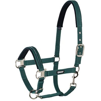 Eskadron Standard Halfter PIN BUCKLE Eskadron Standard Halfter PIN BUCKLE