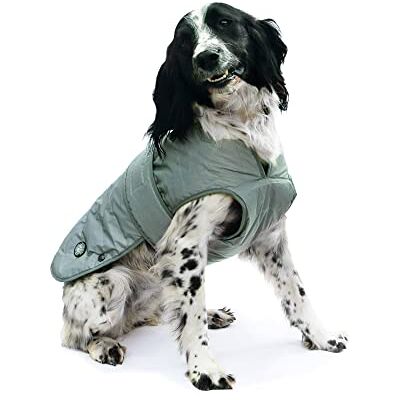 Ancol Muddy Paws Ultimat Reflektierende Mantel - Extra Extra Large Ancol Muddy Paws Ultimat Reflektierende Mantel - Extra Extra Large