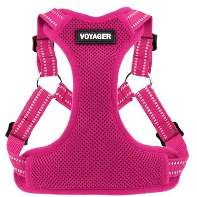 Best Pet Supplies - Voyager - Fuchsia - Harness Best Pet Supplies - Voyager - Fuchsia - Harness