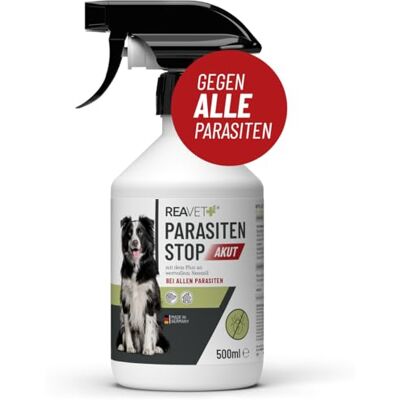 ReaVET Parasitenspray Insektenspray XL AKUT gegen ALLE Parasiten für Hunde & Tierumgebung 500ml I Abwehr von Zecken, Flöhe, Milben I Ungeziefer-Spray, Zeckenspray, Flohspray, Milbenspray ReaVET Parasitenspray Insektenspray XL AKUT gegen ALLE Parasiten für Hunde & Tierumgebung 500ml I Abwehr von Zecken, Flöhe, Milben I Ungeziefer-Spray, Zeckenspray, Flohspray, Milbenspray