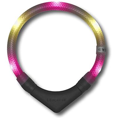 LEUCHTIE ® Plus Leuchthalsband Hund batteriebetrieben, wasserdichtes LED Halsband, Hundehalsband Leuchtend mit 100 h Leuchtdauer, enorm hell, pink-vanille Größe 45 LEUCHTIE ® Plus Leuchthalsband Hund batteriebetrieben, wasserdichtes LED Halsband, Hundehalsband Leuchtend mit 100 h Leuchtdauer, enorm hell, pink-vanille Größe 45