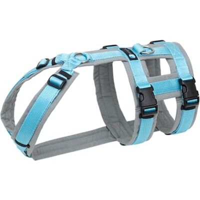 anny-x Brustgeschirr Safety Fun Grau-Eisblau Ausbruchsicheres Hundegeschirr mit Taillengurt Größe L (Brustumfang 70-86 cm) anny-x Brustgeschirr Safety Fun Grau-Eisblau Ausbruchsicheres Hundegeschirr mit Taillengurt Größe L (Brustumfang 70-86 cm)