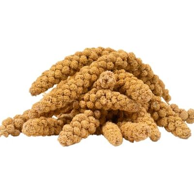 Lyra Pet ® 15 kg Kolbenhirse gelb Vogelfutter für Sittiche & Kanarienvögel Handverlesene Hirse Natürliche Nährstoffquelle für Vögel Für das ganze Jahr Hirsekolben für für Zier- und Wildvögel Lyra Pet ® 15 kg Kolbenhirse gelb Vogelfutter für Sittiche & Kanarienvögel Handverlesene Hirse Natürliche Nährstoffquelle für Vögel Für das ganze Jahr Hirsekolben für für Zier- und Wildvögel