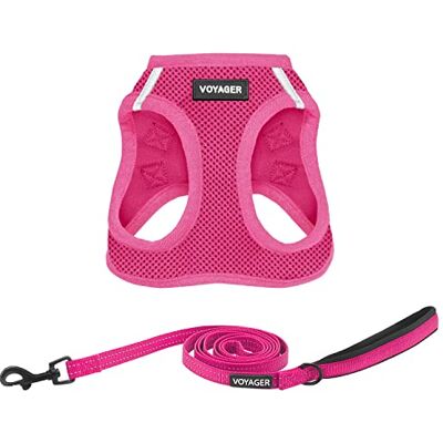 Best Pet Supplies Voyager Step-in Air, Allwetter-Mesh-Geschirr und reflektierender Hund, 1,52 m, Kombination mit Neopren-Griff, für kleine, mittelgroße und große Welpen von – Set Best Pet Supplies Voyager Step-in Air, Allwetter-Mesh-Geschirr und reflektierender Hund, 1,52 m, Kombination mit Neopren-Griff, für kleine, mittelgroße und große Welpen von – Set