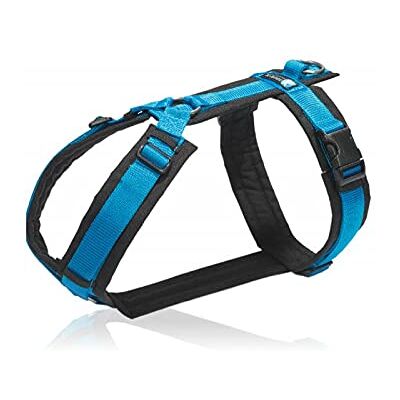 anny-x Annyx Brustgeschirr Fun Schwarz/Blau (XXS) anny-x Annyx Brustgeschirr Fun Schwarz/Blau (XXS)