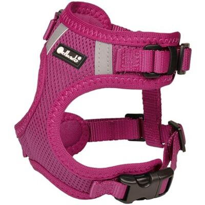 Petlando Hundegeschirr Mesh Vest, leichtes Brustgeschirr aus weichem Mesh & Nylon, stufenlos verstellbar, reflektierend mit 2 D-Ringen, Fuchsia XL, Geschirr Hund gepolstert Petlando Hundegeschirr Mesh Vest, leichtes Brustgeschirr aus weichem Mesh & Nylon, stufenlos verstellbar, reflektierend mit 2 D-Ringen, Fuchsia XL, Geschirr Hund gepolstert