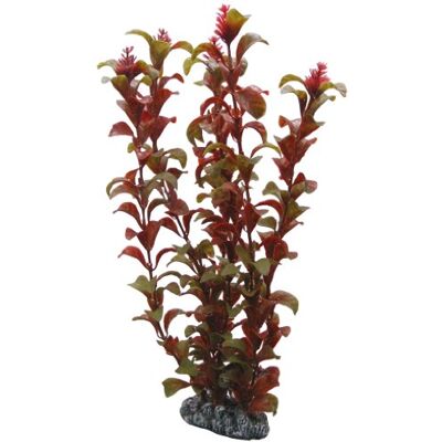 Hobby 41518 Rotala, 30 cm Hobby 41518 Rotala, 30 cm