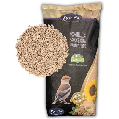 Lyra Pet ® 20 kg Sonnenblumenkerne Geschält Bruch Neue Ernte Für Kleine Wildvögel & Jungtiere Ganzjahres Vogelfutter Schalenfreier Energielieferant Ideal für Balkon & Terrasse Wildvogelfutter für das ganze Jahr Optimal für Jungtiere Streufut Lyra Pet ® 20 kg Sonnenblumenkerne Geschält Bruch Neue Ernte Für Kleine Wildvögel & Jungtiere Ganzjahres Vogelfutter Schalenfreier Energielieferant Ideal für Balkon & Terrasse Wildvogelfutter für das ganze Jahr Optimal für Jungtiere Streufut