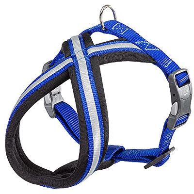 Ferplast Hundegeschirr Daytona Cross, kleines Hundegeschirr aus Nylon, Hundegeschirr mit weicher Polsterung, Reflektierend und Verstellbar. Mit Magnetschnalle. Blau Ferplast Hundegeschirr Daytona Cross, kleines Hundegeschirr aus Nylon, Hundegeschirr mit weicher Polsterung, Reflektierend und Verstellbar. Mit Magnetschnalle. Blau