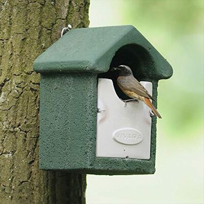 Vivara CJ Wildlife Nistkasten – Vogelnistkasten für draußen – Holzbeton Woodstone Grün – isoliert und langlebig – Innenmaß 18,5x10x10,5 cm Vivara CJ Wildlife Nistkasten – Vogelnistkasten für draußen – Holzbeton Woodstone Grün – isoliert und langlebig – Innenmaß 18,5x10x10,5 cm