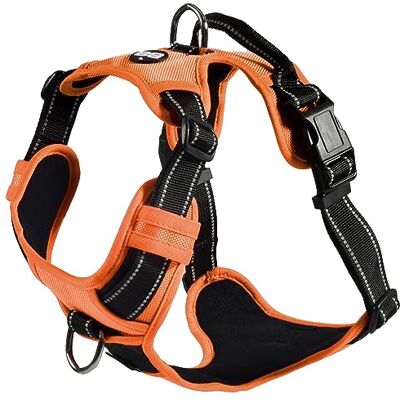 Bobby Rando Walk – Hundegeschirr, Hundegeschirr für mittelgroße, kleine und große Hunde aus Nylon, sicher, bequem, reflektierend, verstellbar, Orange, XL/53–82 x 2,5 cm Bobby Rando Walk – Hundegeschirr, Hundegeschirr für mittelgroße, kleine und große Hunde aus Nylon, sicher, bequem, reflektierend, verstellbar, Orange, XL/53–82 x 2,5 cm
