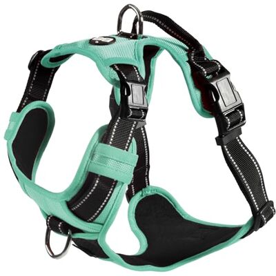 Bobby Rando Walk Hundegeschirr Größe M, aus reflektierendem Nylon, verstellbare Schnallen mit sicherem Verschluss, einfach zu tragen, Grau Rundhals 40-63 cm, Brustumfang 51-66 cm Bobby Rando Walk Hundegeschirr Größe M, aus reflektierendem Nylon, verstellbare Schnallen mit sicherem Verschluss, einfach zu tragen, Grau Rundhals 40-63 cm, Brustumfang 51-66 cm
