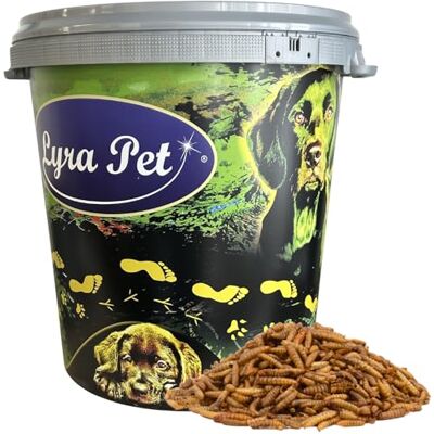 Lyra Pet ® 5 kg Soldatenfliegenlarven getrocknet in 30 L Tonne Black Soldier Fly wie Mehlwürmer reich an Kalzium & Proteinen energiereiches Futter für Vögel, Fische, Nager & Reptilien Lyra Pet ® 5 kg Soldatenfliegenlarven getrocknet in 30 L Tonne Black Soldier Fly wie Mehlwürmer reich an Kalzium & Proteinen energiereiches Futter für Vögel, Fische, Nager & Reptilien