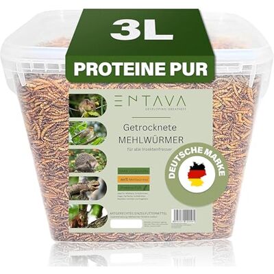 ENTAVA Mehlwürmer getrocknet 3L (500g) Insekten Snack in Premium Qualität, getrocknete Mehlwürmer für Vögel, Fische, Koi, Schildkröten, Nager, Reptilien, Wildvögel, Vogelfutter, Igelfutter ENTAVA Mehlwürmer getrocknet 3L (500g) Insekten Snack in Premium Qualität, getrocknete Mehlwürmer für Vögel, Fische, Koi, Schildkröten, Nager, Reptilien, Wildvögel, Vogelfutter, Igelfutter