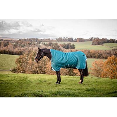 Horseware Amigo Bravo Turnout 12 Wug lite Storm Green Größe wählbar Farbe: grün , Größe: Horseware Amigo Bravo Turnout 12 Wug lite Storm Green Größe wählbar Farbe: grün , Größe: