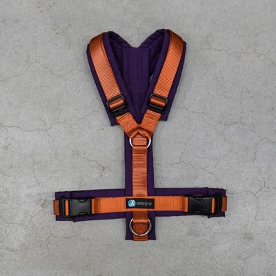 anny-x Brustgeschirr Fun Limited Edition Pflaume trifft Zimt Hundegeschirr Größe XL (Brustumfang 78-96 cm) anny-x Brustgeschirr Fun Limited Edition Pflaume trifft Zimt Hundegeschirr Größe XL (Brustumfang 78-96 cm)