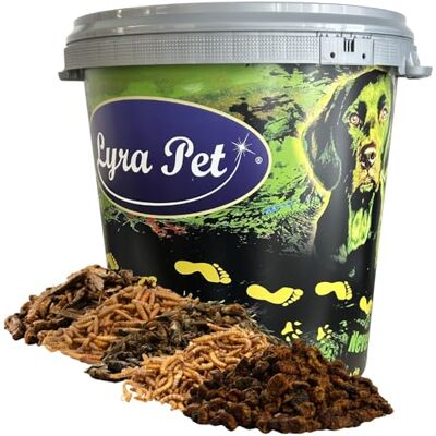 Lyra Pet ® 5 x 1 kg Insekten Probier Mix getrocknet + 30 L Tonne Mehlwürmer, Soldatenfliegenlarven, Heuschrecken, Heimchen & Seidenraupen Nahrhaftes & proteinreiches Vogelfutter Lyra Pet ® 5 x 1 kg Insekten Probier Mix getrocknet + 30 L Tonne Mehlwürmer, Soldatenfliegenlarven, Heuschrecken, Heimchen & Seidenraupen Nahrhaftes & proteinreiches Vogelfutter