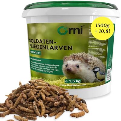 Orni Soldatenfliegenlarven getrocknet 1,5kg, Insektenfutter für Wildvögel Igel, Fische, Reptilien & Eichhörnchen – eiweißreich, artgerechte Mehlwurm-Alternative, ohne Zusatzstoffe Orni Soldatenfliegenlarven getrocknet 1,5kg, Insektenfutter für Wildvögel Igel, Fische, Reptilien & Eichhörnchen – eiweißreich, artgerechte Mehlwurm-Alternative, ohne Zusatzstoffe