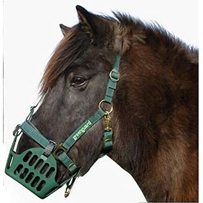 GREENGUARD ® Set Fressbremse Maulkorb mit Halfter, Shetty GREENGUARD ® Set Fressbremse Maulkorb mit Halfter, Shetty