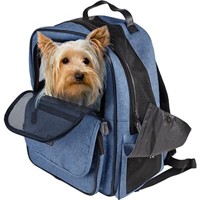 Flamingo Hunderucksack Rucksack Wiro Blau – 40x25x41cm – Polyester – Öffnungen vorn/Oben – Abnehmbarer Boden – Sicherheitsleine – Rückenverstärkung – Brustgurt – Trolley-fix Flamingo Hunderucksack Rucksack Wiro Blau – 40x25x41cm – Polyester – Öffnungen vorn/Oben – Abnehmbarer Boden – Sicherheitsleine – Rückenverstärkung – Brustgurt – Trolley-fix