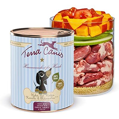 Terra Canis Huhn mit Kürbis, Welpen Nassfutter für Hunde, 800g 100% Lebensmittelqualität aller Rohstoffe, mit frischem Fleisch, ideal für das Wachstum, getreide- und glutenfrei Terra Canis Huhn mit Kürbis, Welpen Nassfutter für Hunde, 800g 100% Lebensmittelqualität aller Rohstoffe, mit frischem Fleisch, ideal für das Wachstum, getreide- und glutenfrei