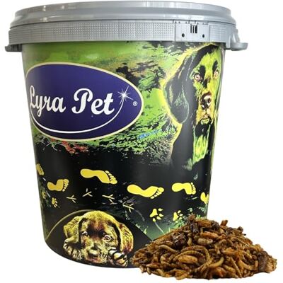 Lyra Pet ® 5 kg Protein Boost Insekten Mix getrocknet in 30 L Tonne Reich an Proteinen & Ballaststoffen Grashüpfer, Mehlwürmer & Shrimps Natürliches Futter für Vögel, Fische & Reptilien Lyra Pet ® 5 kg Protein Boost Insekten Mix getrocknet in 30 L Tonne Reich an Proteinen & Ballaststoffen Grashüpfer, Mehlwürmer & Shrimps Natürliches Futter für Vögel, Fische & Reptilien