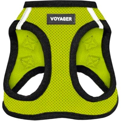 Best Pet Supplies Voyager Step-In Air Hundegeschirr, Allwetter-Netzgewebe, reflektierend, kein Ziehen, kleine, mittelgroße Hunde, Katzen, sicher mit Klettverschluss, Schnalle, Doppel-D-Ringe, Lindgrün/Schwarzer Rand Best Pet Supplies Voyager Step-In Air Hundegeschirr, Allwetter-Netzgewebe, reflektierend, kein Ziehen, kleine, mittelgroße Hunde, Katzen, sicher mit Klettverschluss, Schnalle, Doppel-D-Ringe, Lindgrün/Schwarzer Rand