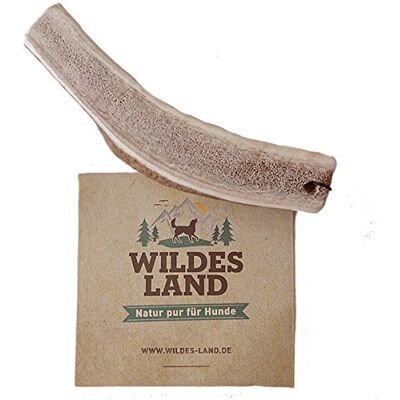 WILDES LAND – Hirschgeweih Halb Größe M Natürlicher Kauartikel aus abgeworfenem Hirschgeweih für ausgewachsene Hunde. Reines Naturprodukt ohne Zusätze und Konservierungsstoffe für langanhaltenden WILDES LAND – Hirschgeweih Halb Größe M Natürlicher Kauartikel aus abgeworfenem Hirschgeweih für ausgewachsene Hunde. Reines Naturprodukt ohne Zusätze und Konservierungsstoffe für langanhaltenden