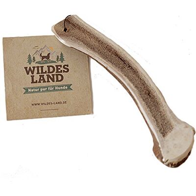 WILDES LAND – Hirschgeweih Halb Größe L Natürlicher Kauartikel aus abgeworfenem Hirschgeweih für ausgewachsene Hunde. Reines Naturprodukt ohne Zusätze und Konservierungsstoffe für langanhaltenden WILDES LAND – Hirschgeweih Halb Größe L Natürlicher Kauartikel aus abgeworfenem Hirschgeweih für ausgewachsene Hunde. Reines Naturprodukt ohne Zusätze und Konservierungsstoffe für langanhaltenden