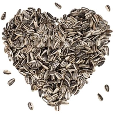Lyra Pet ® 25 kg Gestreifte Sonnenblumenkerne HK Bulgarien Ganzjähriges Wildvogelfutter Hochwertiges Streufutter für Wildvögel Naturbelassener Gourmetsnack Energie für Körnerfresser Lyra Pet ® 25 kg Gestreifte Sonnenblumenkerne HK Bulgarien Ganzjähriges Wildvogelfutter Hochwertiges Streufutter für Wildvögel Naturbelassener Gourmetsnack Energie für Körnerfresser