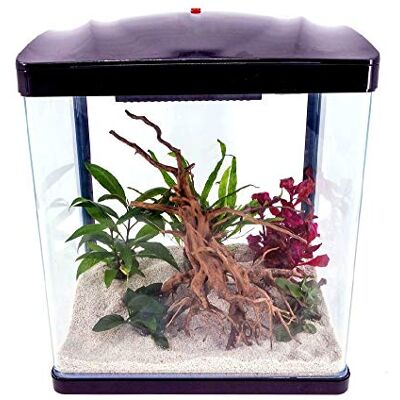 AquaOne Aquarium Komplettset LED mit Pumpe HR-300 schwarz I Kleines Nanoaquarium 14 Liter I Mini Nano Becken Set für Fische und Garnelen AquaOne Aquarium Komplettset LED mit Pumpe HR-300 schwarz I Kleines Nanoaquarium 14 Liter I Mini Nano Becken Set für Fische und Garnelen