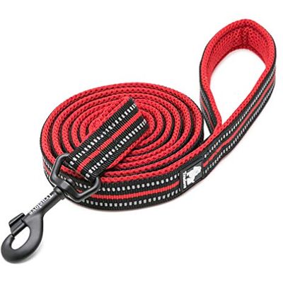 WINHYEPET Dog Leash Nylon Reflective Comfortable Handle Lead Puppy Training Walking Rope Easy Control Suitable Small Medium Large Breeds 110cm Length WHPEU32111 (Red, S) WINHYEPET Dog Leash Nylon Reflective Comfortable Handle Lead Puppy Training Walking Rope Easy Control Suitable Small Medium Large Breeds 110cm Length WHPEU32111 (Red, S)