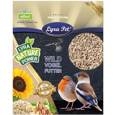 Lyra Pet ® 25 kg Sonnenblumenkerne geschält Vogelfutter Wildvögel Ganzjähriges Wildvogelfutter Ideal für Jungtiere Wertvolles Streufutter Energiespender ohne Schale Sommer und Winter Lyra Pet ® 25 kg Sonnenblumenkerne geschält Vogelfutter Wildvögel Ganzjähriges Wildvogelfutter Ideal für Jungtiere Wertvolles Streufutter Energiespender ohne Schale Sommer und Winter