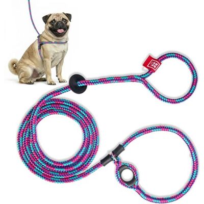 Harness Lead Hundegeschirr und Leine, Anti-Zieh-Hundegeschirr für alle Rassen und Größen, einteiliges gepolstertes Seil-Design, verhindert sicher das Entweichen und Ziehen (Größe S/M, Reef) Harness Lead Hundegeschirr und Leine, Anti-Zieh-Hundegeschirr für alle Rassen und Größen, einteiliges gepolstertes Seil-Design, verhindert sicher das Entweichen und Ziehen (Größe S/M, Reef)