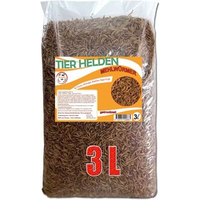 TIER HELDEN Mehlwürmer Getrocknet 3 L – Vogelfutter, Hühner & Igel Getrocknete Mehlwürmer als Insekten-Snack für Wildvögel, Hühner, Reptilien, Fische, Igel & Nager TIER HELDEN Mehlwürmer Getrocknet 3 L – Vogelfutter, Hühner & Igel Getrocknete Mehlwürmer als Insekten-Snack für Wildvögel, Hühner, Reptilien, Fische, Igel & Nager