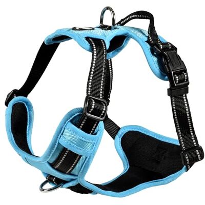 Bobby Rando Walk Hundegeschirr Größe XS, aus reflektierendem Nylon, verstellbare Schnallen mit sicherem Verschluss, einfach zu tragen, Blau, Rundhalsausschnitt 20-32 cm, Brustumfang 36-43 cm Bobby Rando Walk Hundegeschirr Größe XS, aus reflektierendem Nylon, verstellbare Schnallen mit sicherem Verschluss, einfach zu tragen, Blau, Rundhalsausschnitt 20-32 cm, Brustumfang 36-43 cm