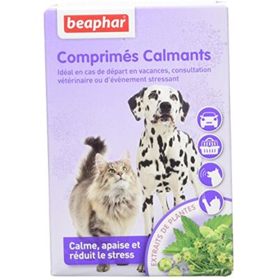 Beaphar NO Stress Baldrian beruhigende Tabletten für Hunde und Katzen Natürliche Pflanzenextrakte Reduziert Stress & Verhaltensprobleme ohne Sucht oder Schläfrigkeit 20 Stück Beaphar NO Stress Baldrian beruhigende Tabletten für Hunde und Katzen Natürliche Pflanzenextrakte Reduziert Stress & Verhaltensprobleme ohne Sucht oder Schläfrigkeit 20 Stück