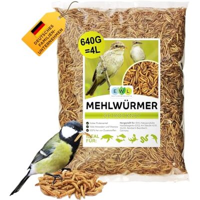EWL Naturprodukte EWL Getrocknete Mehlwürmer 640g (4L) Vogelfutter & Wildvogelfutter Proteinreicher Insektensnack Ganzjahresfütterung Schonend getrocknet Ideal auch für Fische, Wachteln, Igel & Reptilien EWL Naturprodukte EWL Getrocknete Mehlwürmer 640g (4L) Vogelfutter & Wildvogelfutter Proteinreicher Insektensnack Ganzjahresfütterung Schonend getrocknet Ideal auch für Fische, Wachteln, Igel & Reptilien