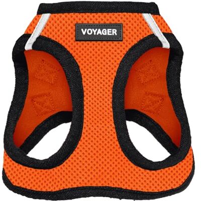 Best Pet Supplies Voyager Step-In Air Hundegeschirr, Allwetter-Netzgewebe, reflektierend, kein Ziehen, kleine, mittelgroße Hunde, Katzen, sicher mit Klettverschluss, Schnalle, Doppel-D-Ringe Orange/Schwarzer Rand Best Pet Supplies Voyager Step-In Air Hundegeschirr, Allwetter-Netzgewebe, reflektierend, kein Ziehen, kleine, mittelgroße Hunde, Katzen, sicher mit Klettverschluss, Schnalle, Doppel-D-Ringe Orange/Schwarzer Rand