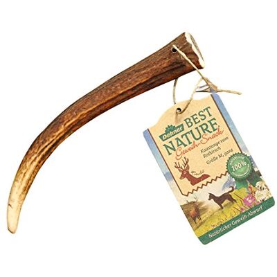 Dehner Best Nature Hundesnack, hochwertiges Leckerli geruchsarm / 100 % natürlich, Kausnack für Hunde, Rothirsch-Geweih, Größe M Dehner Best Nature Hundesnack, hochwertiges Leckerli geruchsarm / 100 % natürlich, Kausnack für Hunde, Rothirsch-Geweih, Größe M