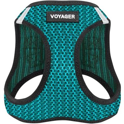 Best Pet Supplies Voyager Step-in-Air-Hundegeschirr, Allwetter-Netz-Hundegeschirr für kleine und mittelgroße Hunde, von – Türkis (zweifarbig), Größe S Best Pet Supplies Voyager Step-in-Air-Hundegeschirr, Allwetter-Netz-Hundegeschirr für kleine und mittelgroße Hunde, von – Türkis (zweifarbig), Größe S