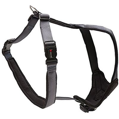WOLTERS Cat&Dog Professional Comfort 62352 Geschirr Gr.5 70-85cm x 35mm graphit/schwarz WOLTERS Cat&Dog Professional Comfort 62352 Geschirr Gr.5 70-85cm x 35mm graphit/schwarz